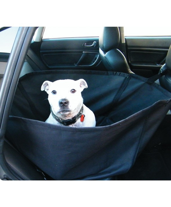 Pet Basket