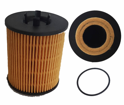 Oil Filter R2591P