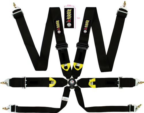 6 Point Quick Release Racing Harness
