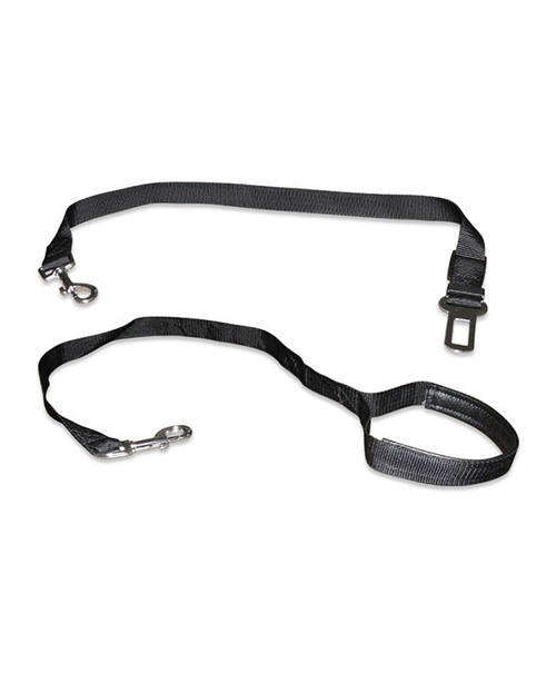 2 in 1 Seat Belt and Walking Leash