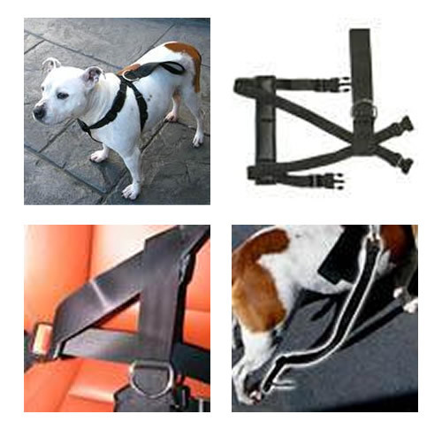 Pet Safety Belt Harness
