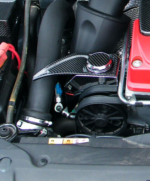 Carbon Fibre Power Steering Spill Tray