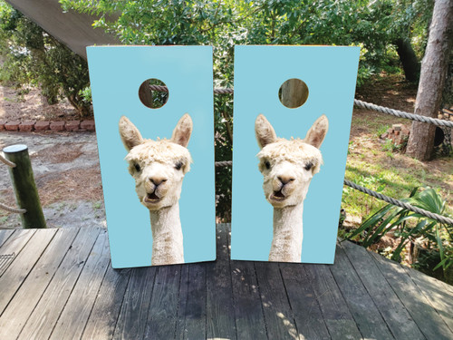 A cute and fun alpaca on cornhole boards with a blue background