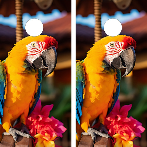 "Funny Parrot Cornhole Boards Design 1 featuring colorful cartoon parrot with tropical beach theme and playful artwork"