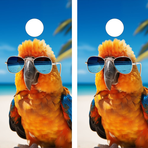 "Cool Parrot Professional Cornhole Boards featuring colorful parrot with tropical beach background and vibrant design"