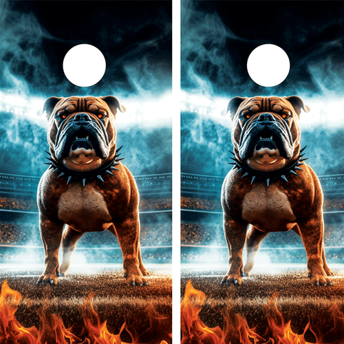 "Cleveland Football Stadium Cornhole Boards featuring detailed illustration of Cleveland football stadium with team colors and sports theme"