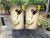 "White Wine Themed Professional Cornhole Boards featuring elegant wine glasses, vineyard design, and rustic wood background"