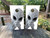 Pair of cornhole boards featuring a high-detail, gray alien with large black eyes on a clean white background, set on a wooden deck with greenery. Pair of cornhole boards featuring a high-detail, gray alien with large black eyes on a clean white background, set on a wooden deck with greenery.