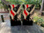 Pair of cornhole boards with a stylized American flag background in black, white, and red, featuring a detailed Bigfoot silhouette walking through a pine forest.