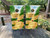 Beach-themed drinking game cornhole boards with vibrant coastal graphics, featuring tropical elements and drink markers, built to professional regulation standards.
