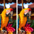 "Funny Parrot Cornhole Boards Design 1 featuring colorful cartoon parrot with tropical beach theme and playful artwork"