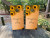 sunflower wedding cornhole boards