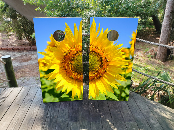 "Bright Sunflower Cornhole Boards featuring vibrant sunflower design with yellow petals and green leaves on rustic wood background"