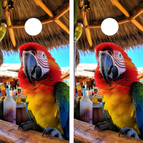 "Funny Parrot Professional Cornhole Boards featuring colorful cartoon parrot with tropical beach background and playful design"
