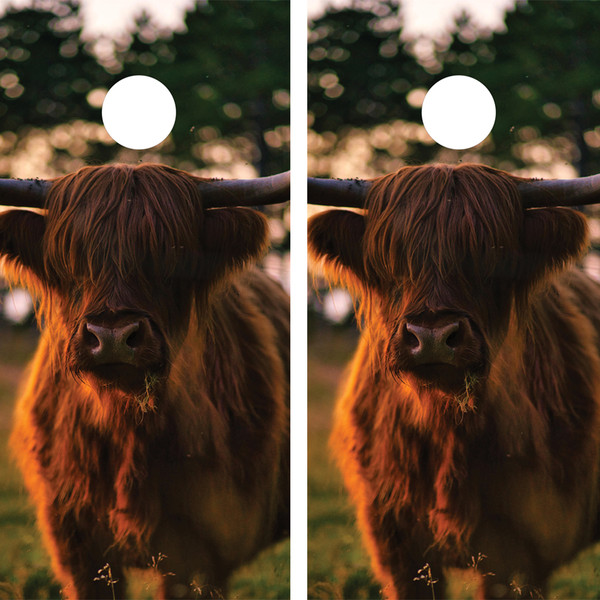Two cornhole wraps featuring a close-up of a Highland cow with shaggy hair and long horns, set against a blurred forest background, creating a rustic and countryside-inspired design