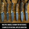 AXIOM American Elk  CUSTOM SHOP