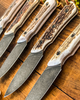 BRAVE American Elk CUSTOM SHOP