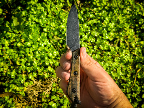 Scamp Magnacut *FOUNDER'S SERIES*