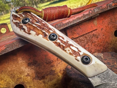 SCAMP DAMASCUS & AMERICAN ELK *FOUNDER'S SERIES*