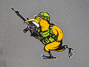 GIANT Battle KYWI Bird Magnet GIANT Battle KYWI Bird Magnet