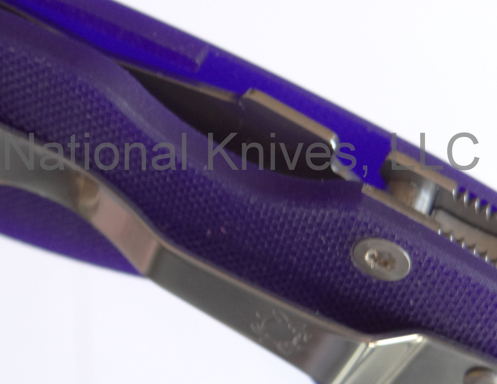 Spyderco Paramilitary 2 folding knife with thumb hole - close up of handle shown.  Satin S110V stainless steel plain edge blade.  Dark Blue G-10 handle.  Model C81GPDBL2.
