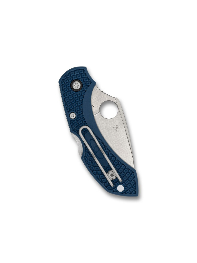 Spyderco Dragonfly 2 folding knife with thumb hole - shown closed pocket clip side.  Satin SPY27 stainless steel plain edge blade.  Cobalt Blue FRN handle.  Model C28PCBL2.