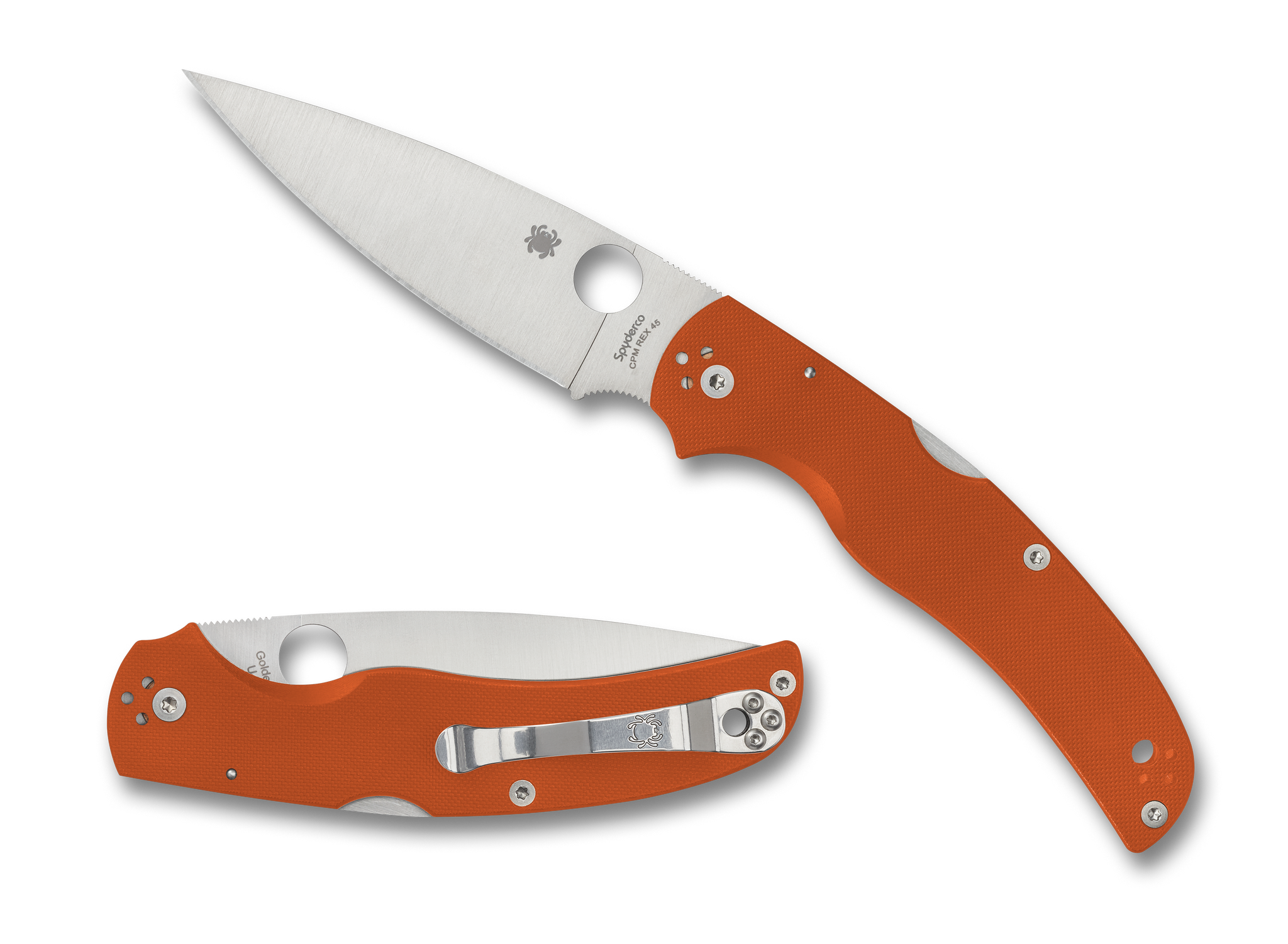 Spyderco Native Chief Rex 45 C244GPBORE | National Knives, LLC