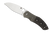 Spyderco Myrtle folding knife with thumb hole - shown open presentation side.  Satin S30V stainless steel plain edge blade. Black carbon fiber handle with titanium bolster and titanium lock side.  Model C194CFTIP.
For reference only.