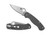 Spyderco Paramilitary 2 Sprint Run folding knife with thumb hole - shown open presentation side and closed pocket clip side.  Cru-Wear steel plain edge blade.  Gray G-10 handle.  Model C81GPGY.
For reference only.