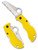 Spyderco Manbug Salt folding knife - shown open obverse and closed reverse.  Satin H-2 stainless steel serrated edge blade.  Yellow FRN handle.  Model MYLS.
