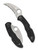 Spyderco Tasman Salt 2 folding knife with thumb hole - shown open presentation side and closed pocket clip side.  Satin H-2 stainless steel serrated edge blade.  Black FRN handle.  Model C106SBK2.