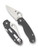 Spyderco Para 3 folding knife with thumb hole - shown open presentation side and closed pocket clip side.  Stonewash Maxamet steel plain edge blade.  Gray G-10 handle.  Model C223GPDGY.