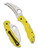 Spyderco Tasman Salt 2 folding knife with thumb hole - shown open presentation side and closed pocket clip side.  Satin H-2 stainless steel serrated edge blade.  Yellow FRN handle.  Model C106SYL2.