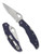 Byrd Knives Cara Cara 2 folding knife with thumb slot - shown both open presentation side and closed pocket clip side.  Satin 8Cr13MoV stainless steel combo edge blade.  Blue FRN handle.  Model BY03PSBL2.
For reference only.