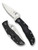 Spyderco Endela folding knife with thumb hole - shown open presentation side and closed pocket clip side.  Satin VG-10 stainless steel serrated edge blade.  Black FRN handle.  Model C243SBK.