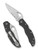 Byrd Harrier 2 folding knife with thumb slot - shown both open presentation side and closed pocket clip side.  Satin 8Cr13MoV stainless steel combo edge blade.  Black G-10 handle.  Model BY01GPS2.