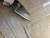 Blemished Spyderco Native 5 folding knife with thumb hole - close up of pocket clip side blade shown.  Satin CPM CruWear steel plain edge blade.  Brown Micarta handle.  Model C41MPCW5.