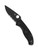 Spyderco Tenacious folding knife with thumb hole - shown open presentation side.  Black 8Cr13MoV stainless steel combo edge blade.  Black FRN handle.  Model C122PSBBK.