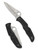Spyderco Pacific Salt 2 folding knife with thumb hole - shown open presentation side and closed pocket clip side.  Satin H-2 stainless steel plain edge blade.  Black FRN handle.  Model C91PBK2.