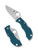 Spyderco Manbug folding knife with thumb hole - shown open obverse and closed reverse.  Satin K390 steel plain edge blade.  Blue FRN handle.  Model MFPK390.