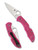 Spyderco Delica 4 folding knife with thumb hole - shown open presentation side and closed pocket clip side.  Satin S30V stainless steel plain edge blade.  Pink FRN handle.  Model C11FPPNS30V.