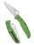 Spyderco Pacific Salt 2 folding knife with thumb hole - shown open presentation side and closed pocket clip side.  Satin LC200N stainless steel serrated edge blade.  Green FRN handle.  Model C91FSGR2.