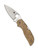 Spyderco Chaparral folding knife with thumb hole - shown open presentation side.  Satin CTS-XHP stainless steel plain edge blade. Birdseye Maple wood handle.  Model C152WDP.