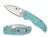 Spyderco Native 5 MGE Wholesale Exclusive folding knife with thumb hole - shown open presentation side and closed pocket clip side.  Satin S90V stainless steel plain edge blade.  Teal FRN handle.  Model C41PTBL5.
For reference only.