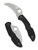 Spyderco Tasman Salt 2 folding knife with thumb hole - shown open presentation side and closed pocket clip side.  Satin H-2 stainless steel plain edge blade.  Black FRN handle.  Model C106PBK2.