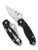 Spyderco Para 3 folding knife with thumb hole - shown open presentation side and closed pocket clip side.  Satin S45VN stainless steel plain edge blade. Black G-10 handle.  Model C223GP.