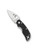 Spyderco Cat folding knife with thumb hole - shown open presentation side.  Satin CTS-BD1N stainless steel plain edge blade.  Black G-10 handle.  Model C129GP.