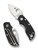 Spyderco Chicago folding knife with thumb hole - shown open presentation side and closed pocket clip side.  Satin CTS-BD1N stainless steel plain edge blade.  Black G-10 handle.  Model C130GP.