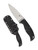 Spyderco Enuff 2 Leaf fixed blade knife - shown out of sheath reverse and in sheath reverse.  Satin VG-10 stainless steel plain edge blade.  Black FRN handle.  Model FB31PBK2.