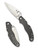 Spyderco Caly 3.5 folding knife with thumb hole - shown open presentation side and closed pocket clip side.  Satin ZDP-189 and 420J2 laminated steel plain edge blade.  Black carbon fiber handle.  Model C144CFPE.